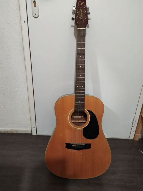 Guitare Gradignan (33)
