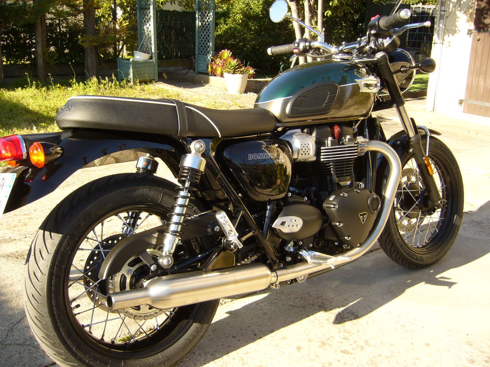 TRIUMPH 2024 occasion 83220 Le Pradet