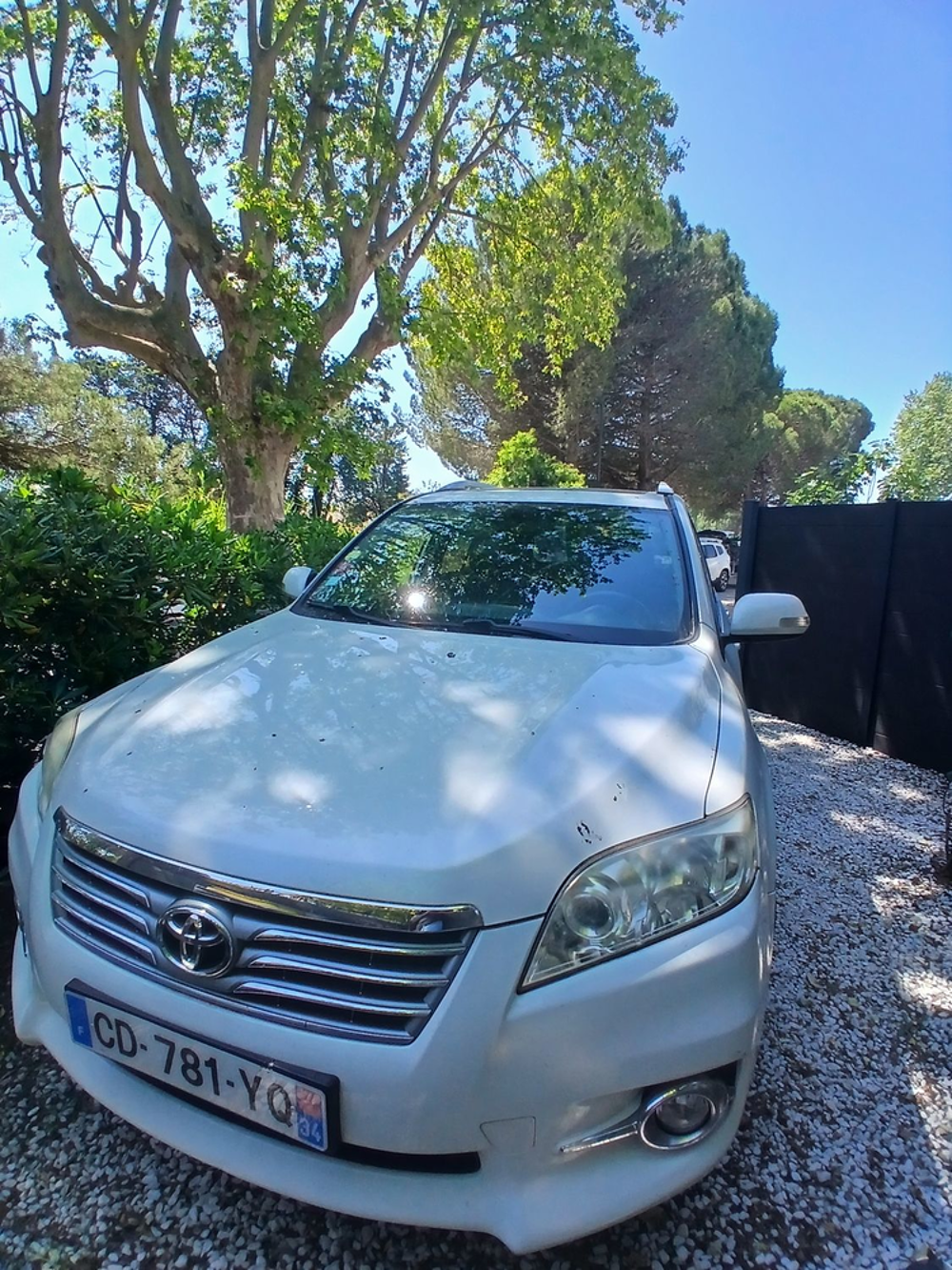 RAV 4 RAV4 RC 150 D-4D 4WD Limited Edition 2012 occasion 30220 Aigues-Mortes