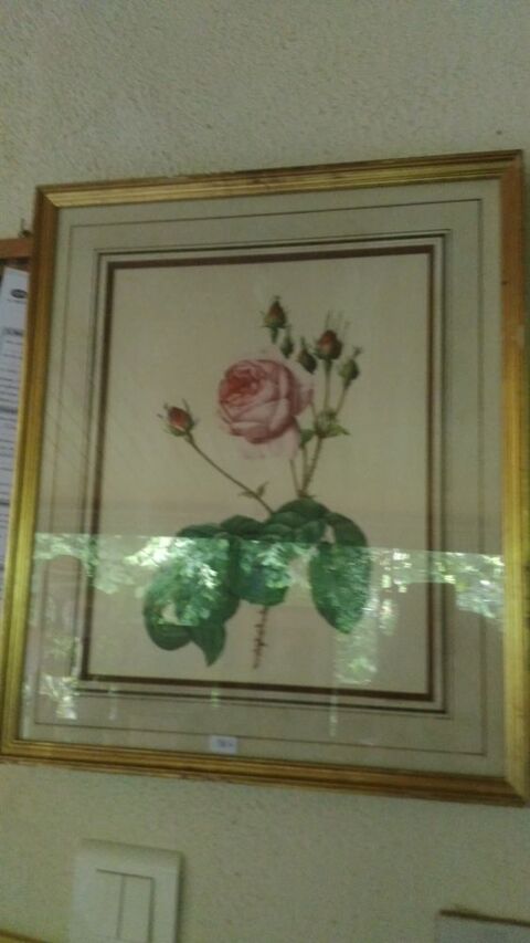 tableau � la rose 10 Les Brouzils (85)