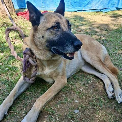 Bahya 300 26100 Romans-sur-isre