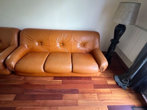 Canap authentique vintage anne 1970 250 Pau (64)