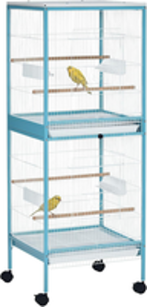   Cages oiseaux 