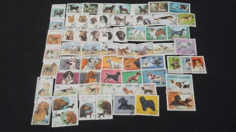 Timbres sur les chiens 4 Angers (49)