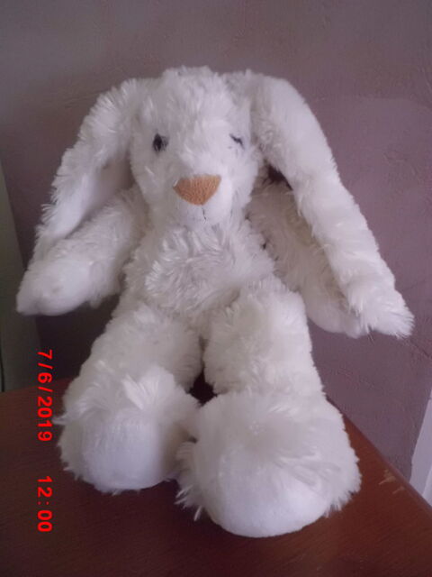 LAPIN BLANC HISTOIRE D OURS 17 Oignies (62)