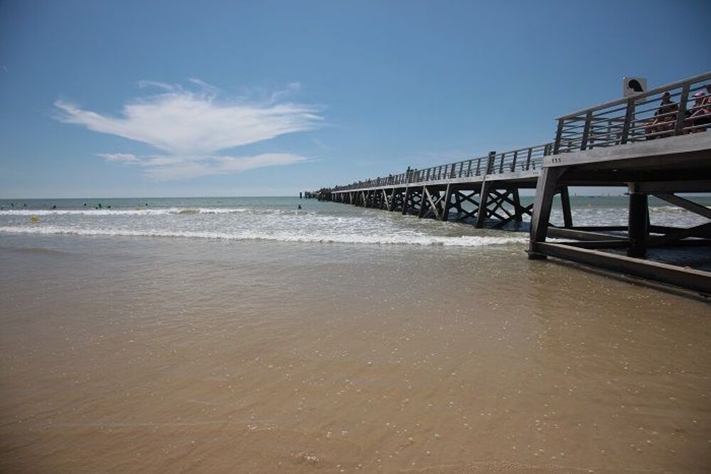   Magnifique FRONT DE MER***acc�s direct � la plage  Pays de la Loire, Saint-Jean-de-Monts (85160)