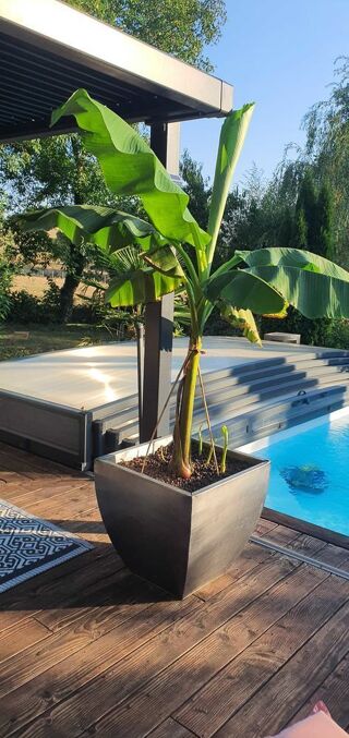  Maison � vendre 5 pi�ces 90 m� Sainte-eulalie