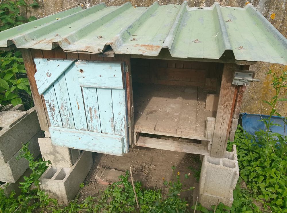 Maison pour poules Jardin