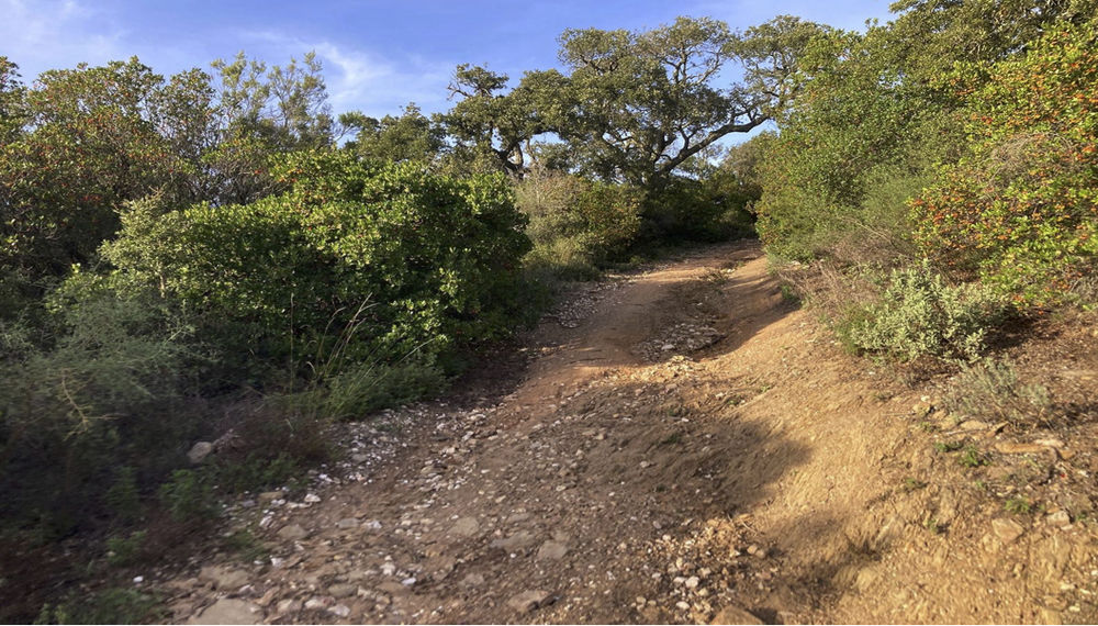 Vente Terrain LE BOIS BÉNI Bormes-les-mimosas