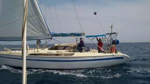Voiliers Monocoque 1982 occasion Port Leucate 11370