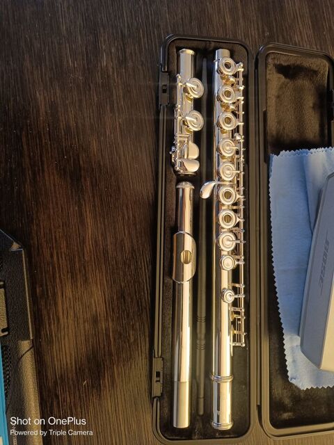 fl�te traversi�re neuve( jamais servie No�l 2025) 590 Paris 11 (75)