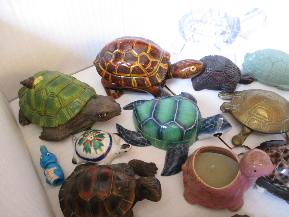 Collection de tortues 