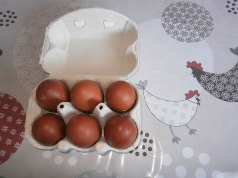 oeufs fecondés marrans 2 31270 Frouzins