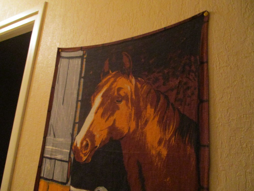 Repr&eacute;sentation t&ecirc;te de cheval Décoration