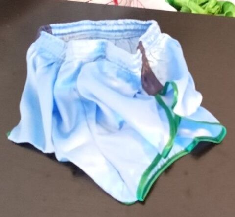 Short Vintage Satin Nylon Bleu ciel navy vert M42 19 Lyon 3 (69)