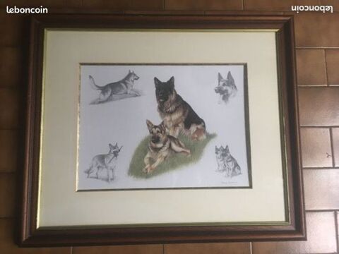 Cadre/lithographie/chien loup/berger allemand/Nigel Hemming
65 Castres (81)