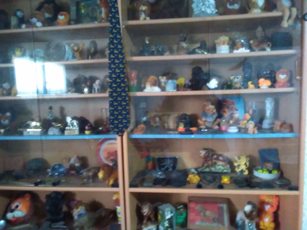 Collection de divers sujets sur le Lion 