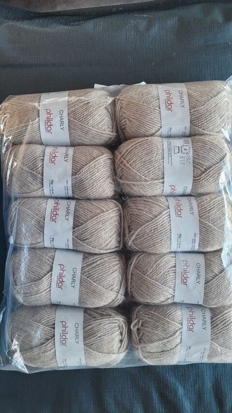 Pelotes Charly Phildar 10 Berthenay (37)