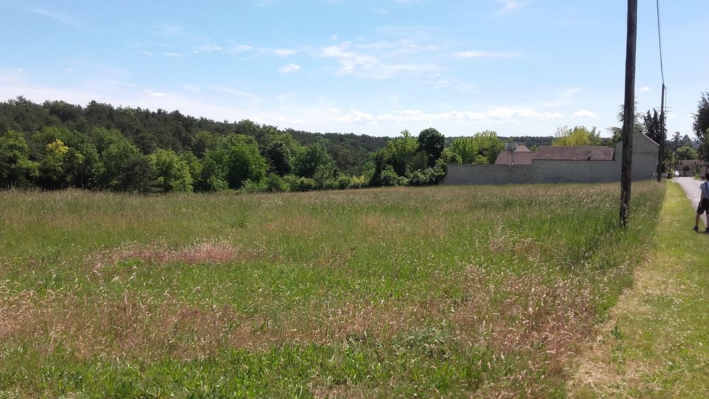 Vente Terrain 2 TERRAINS A BATIR, 644 m2, 50 000 €, à AUXY BUTHIERS 77 Buthiers