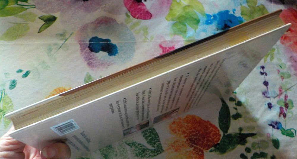 LA DOULEUR Ed. des Petits Champs Livres et BD
