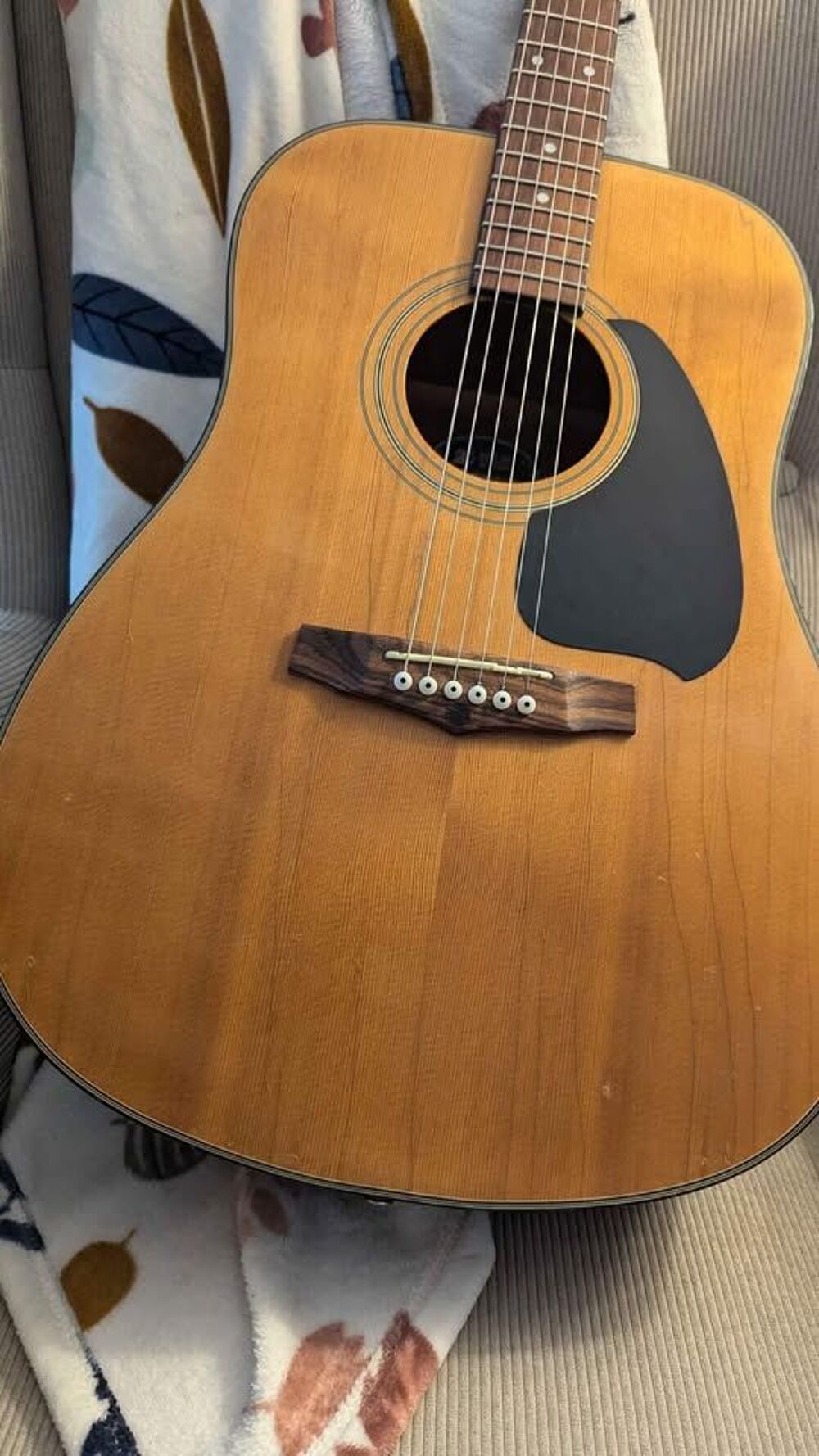 Guitare folk Ibanez Instruments de musique