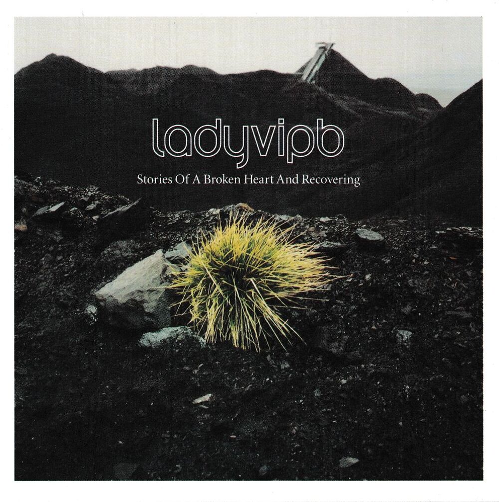 CD Ladyvipb - Stories Of A Broken Heart And Recovering CD et vinyles