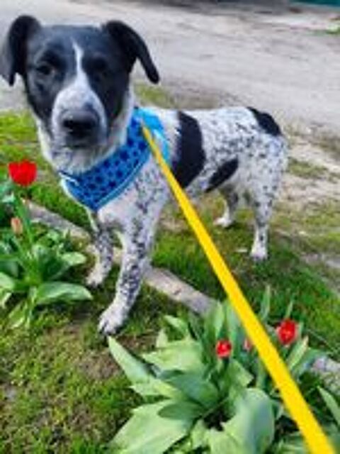   JACK SE TROUVE DANS UN REFUGE EN UKRAINE 