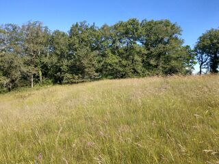  Terrain à vendre 3000 m² Le vigan