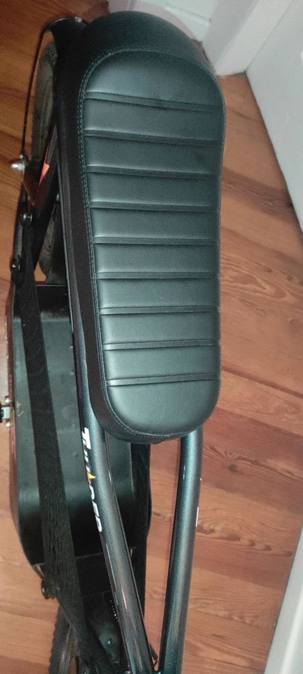 Draisienne &eacute;lectrique Vélos