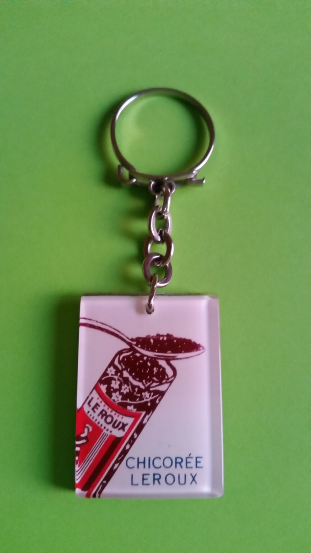 PORTE CL&Eacute; CHICOR&Eacute;E LEROUX 