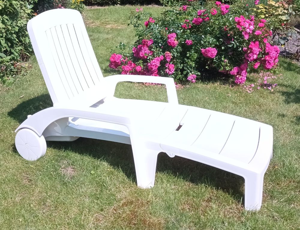 chaise longue Bain de soleil Jardin