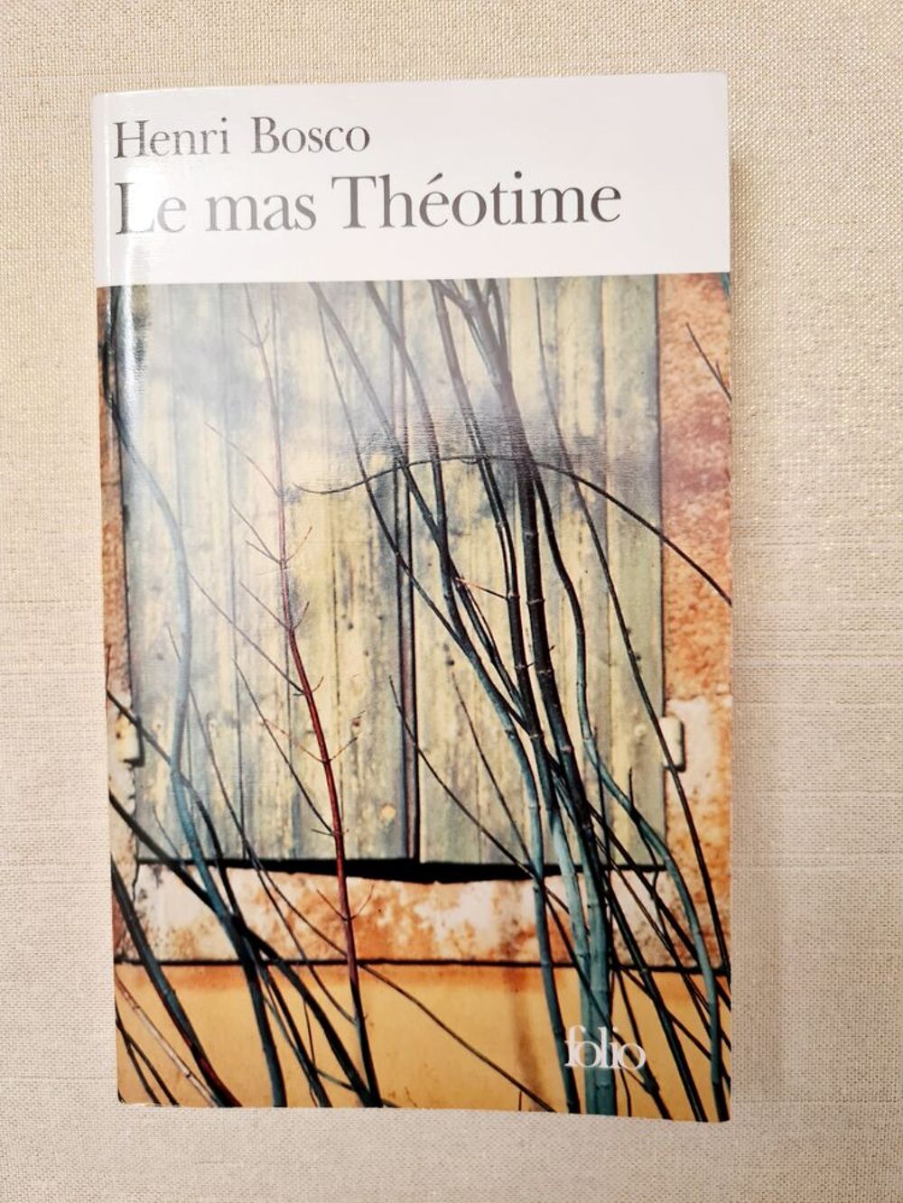 Le mas Th&eacute;otime Livres et BD