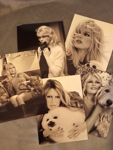 Brigitte bardot cinema cd dvd photos Fosses (95)