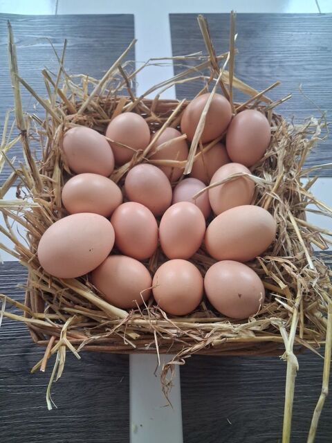 ?ufs frais de la ferme 2 91670 Angerville