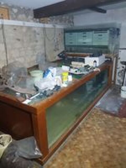   grand aquarium 