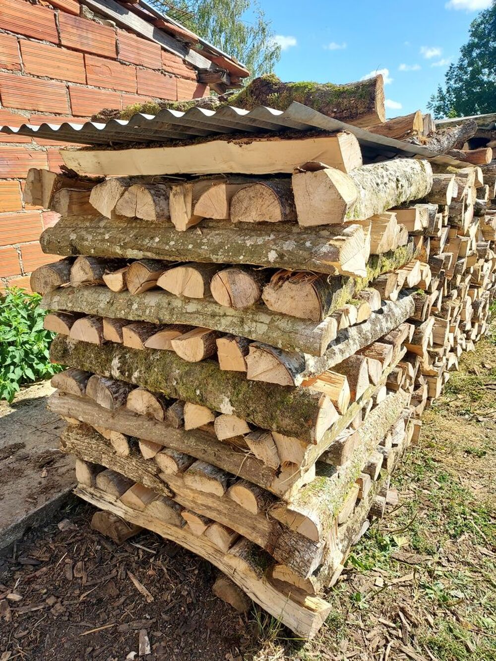 de bois de chauffage Jardin