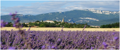 AUXILIAIRE DE VIE (AES) 0 26300 Charpey