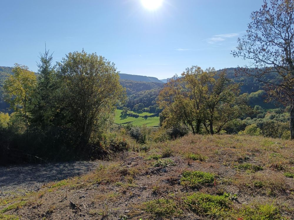 Vente Terrain Terrain 947 m2 Saint-Nectaire haut avec terrassement Saint-nectaire