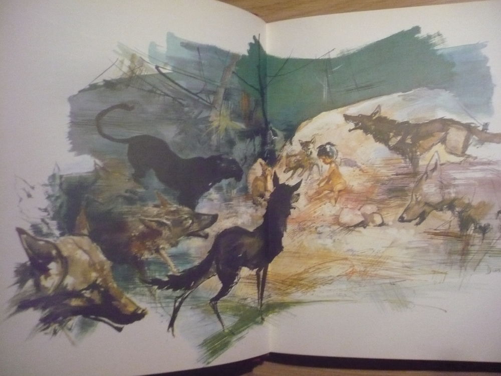LE LIVRE DE LA JUNGLE de Rudyard KIPLING (1958) Livres et BD