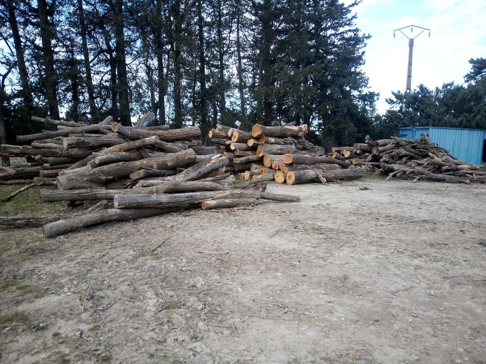 Venez acheter du bois de chauffage sec chez nous . ???? Jardin