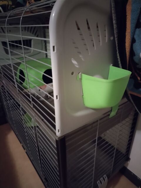 Cage à lapins double 50 37140 Bourgueil