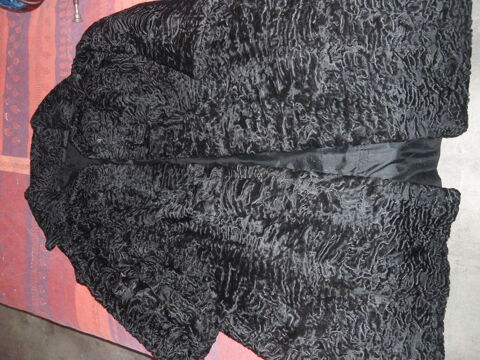 Manteau de fourrure astracan 0 Saint-Avold (57)