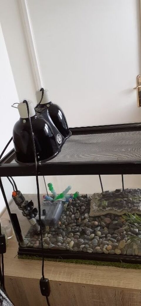 Grand aquarium  avec  tout équipements 150 91170 Viry-chtillon