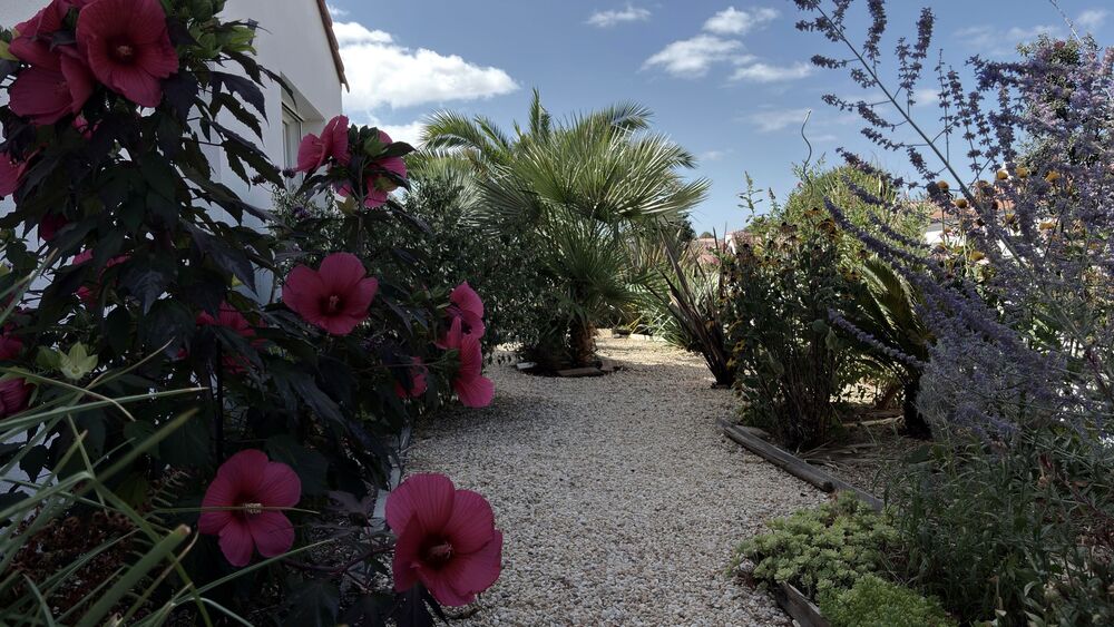 Vente Maison Maison 81 m2 de 2015 Talmont-saint-hilaire