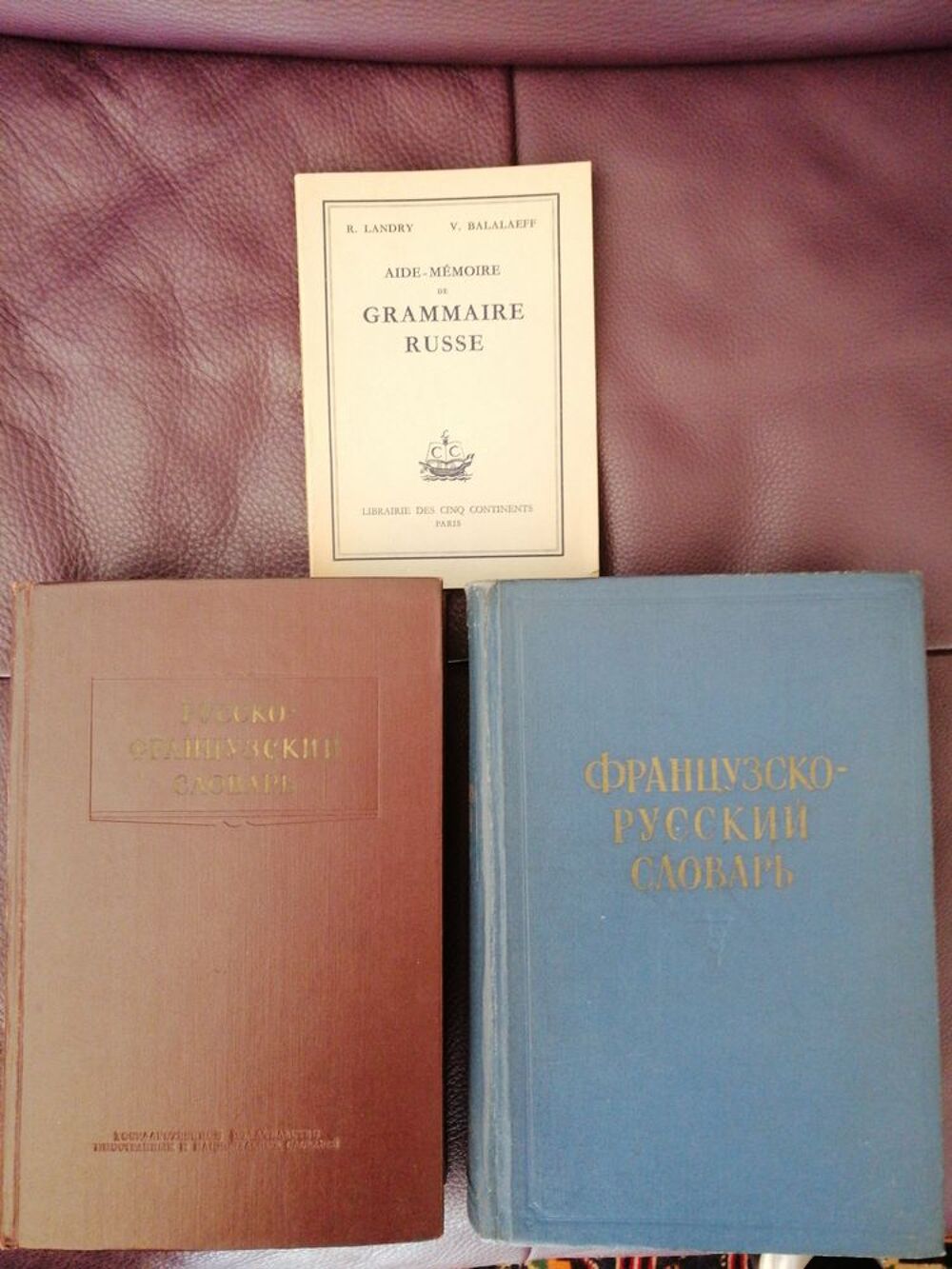 Dictionnaire Francais/Russe + Russe Fran&ccedil;ais + Grammaire Livres et BD