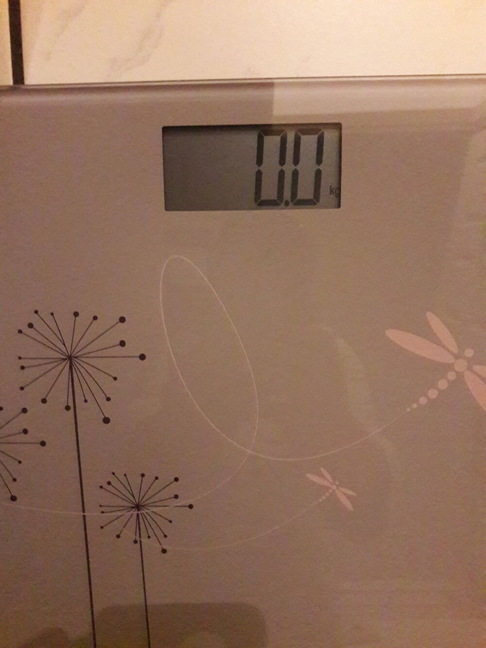 P&egrave;se personne &eacute;lectronique Terraillon Electroménager