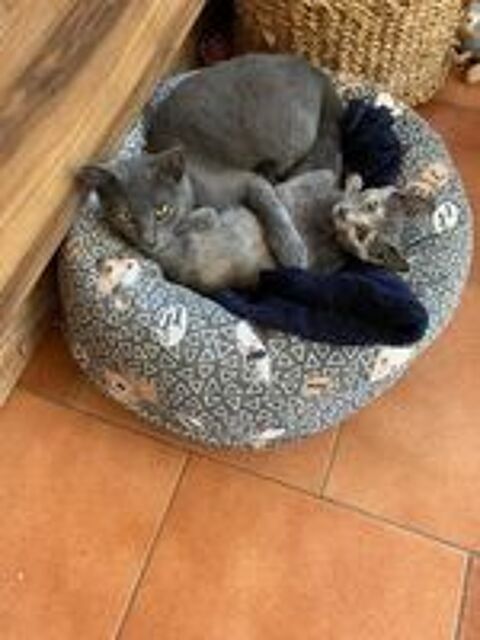   BLUK et MONI 