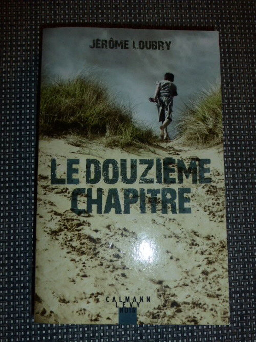 Le douzi&egrave;me chapitre J&eacute;r&ocirc;me Loubry Livres et BD