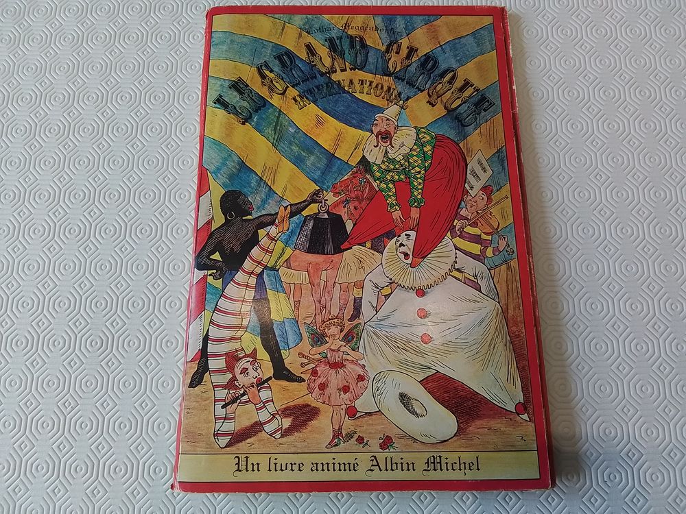 Livre Anim&eacute; Albin Michel Livres et BD