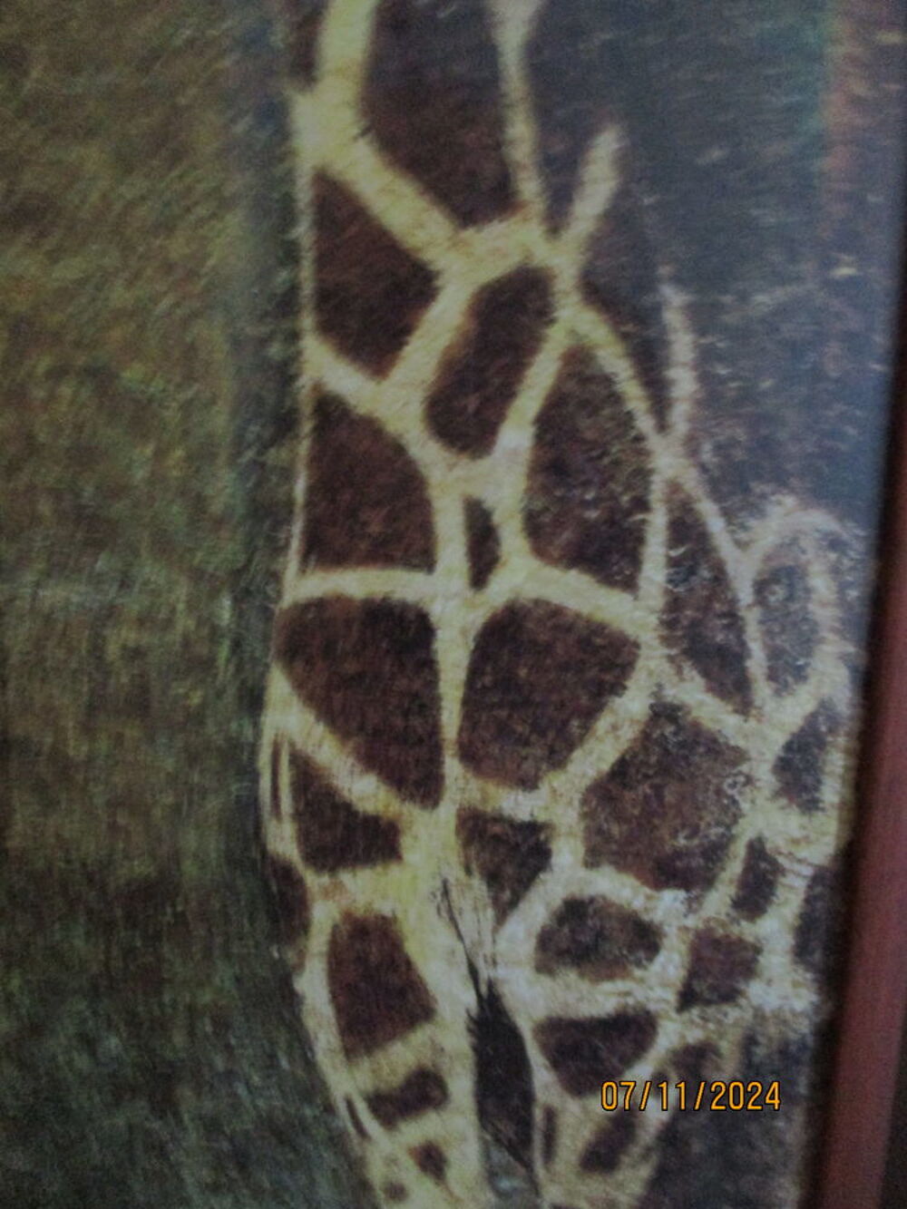 Tableaux z&egrave;bre et girafe Décoration